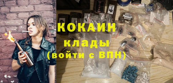 дмт Арсеньев