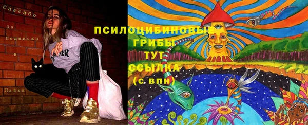 дмт Арсеньев