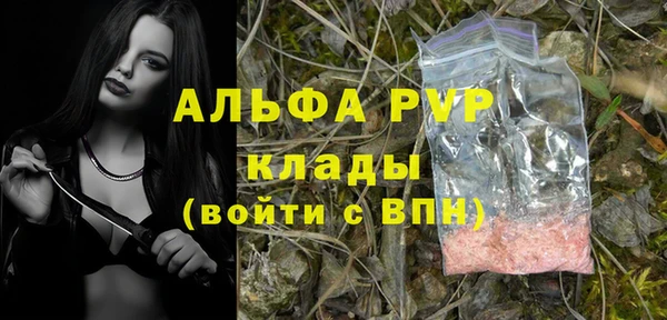 стаф Армянск
