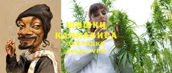 дмт Арсеньев