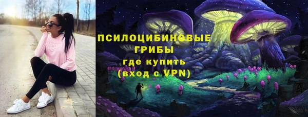 дмт Арсеньев