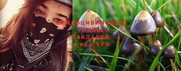 дурь Аркадак